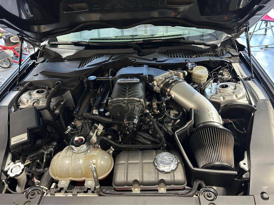 car7.jpg