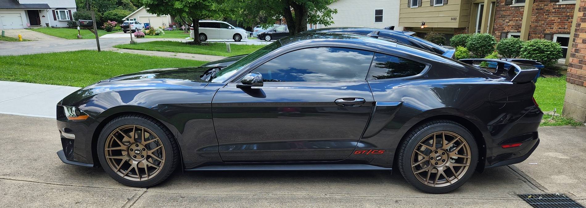 Mustang.jpg