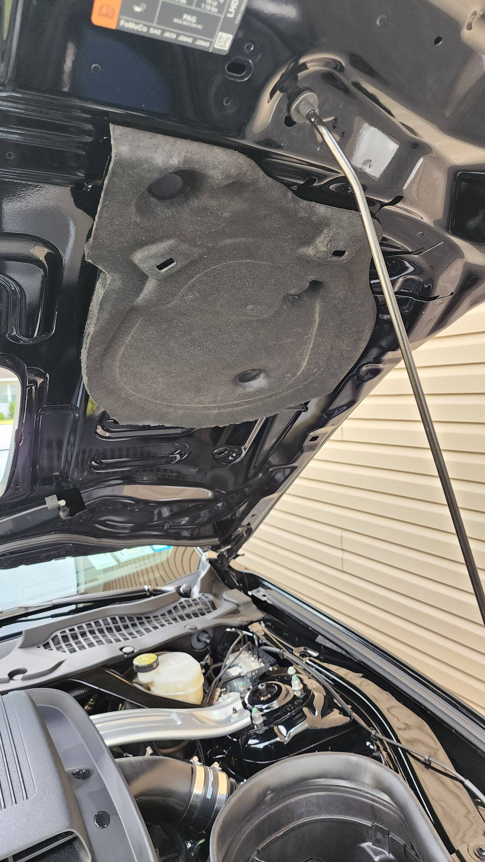 SHAKER HOOD & AJ HARTMNANN GT350/Mach 1 lid VS Stock Mach 1 airbox set ...
