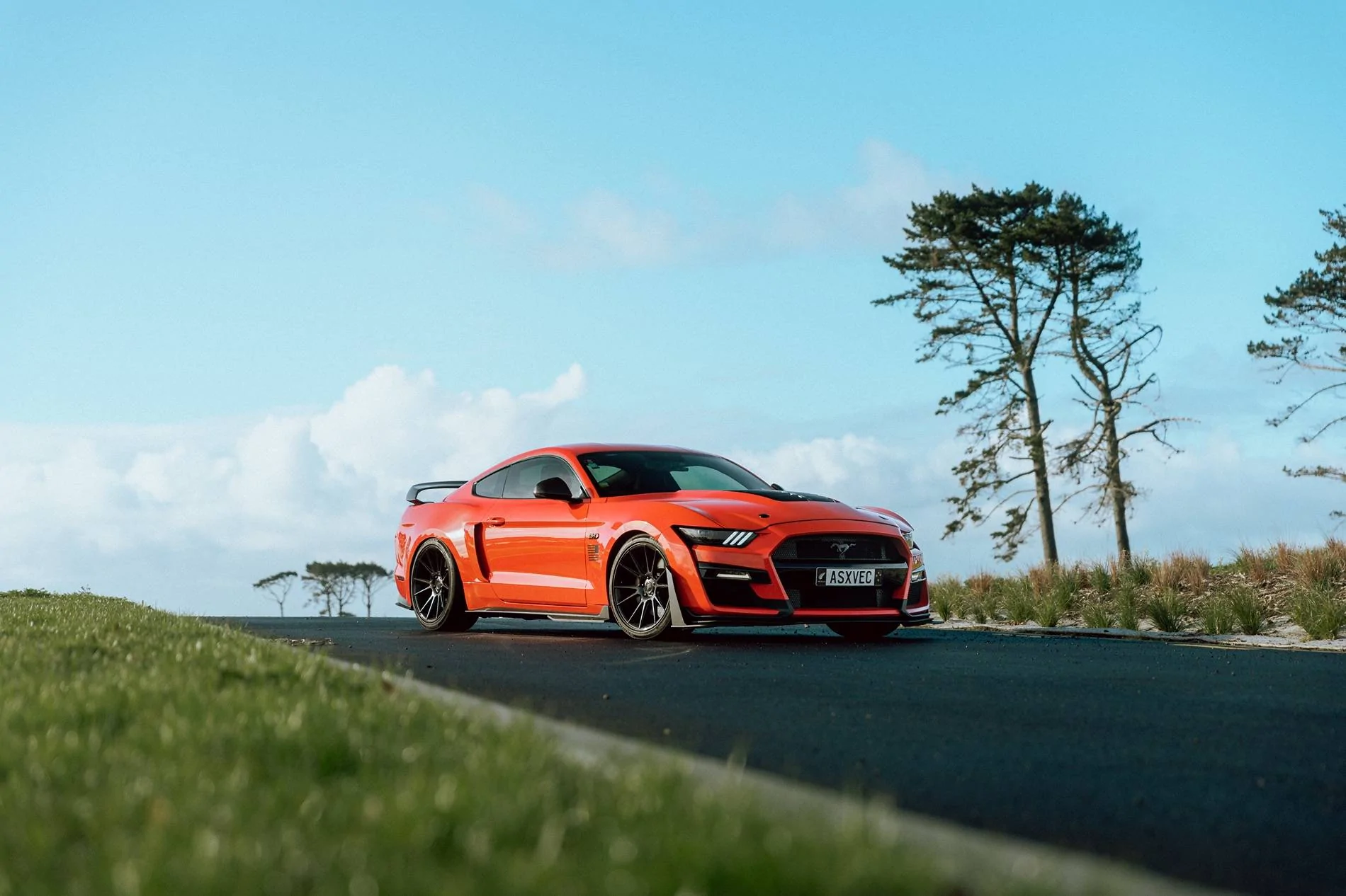 '16GT,CompetitionOrange#1[HarropSC]-13.webp