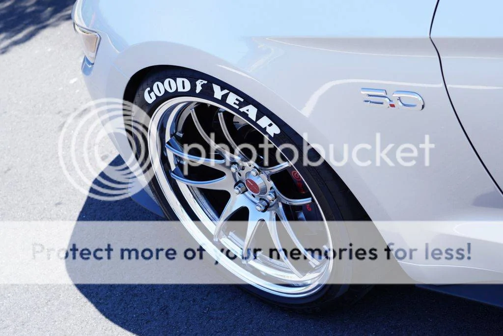 DSC02078.webp