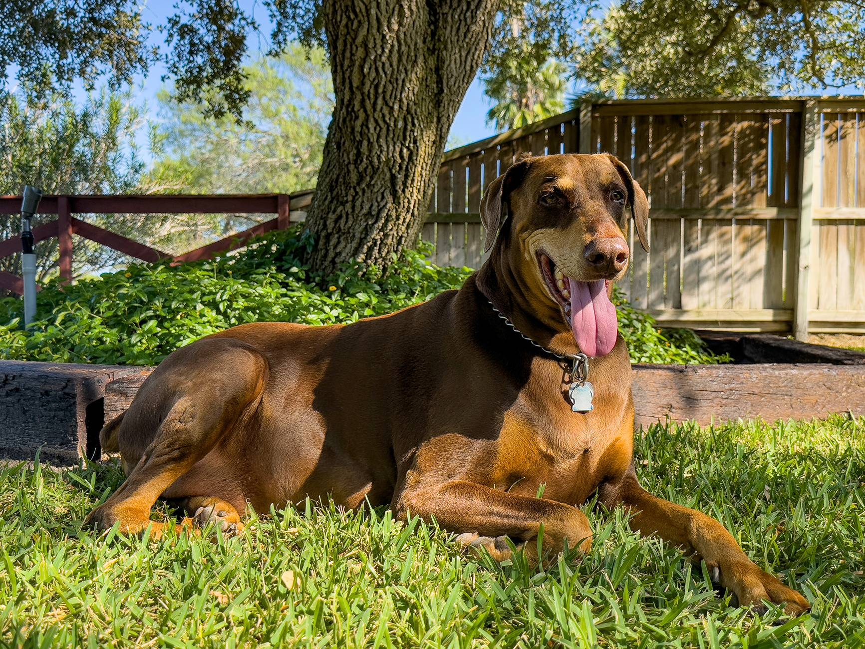 buddy_241009_01.jpg