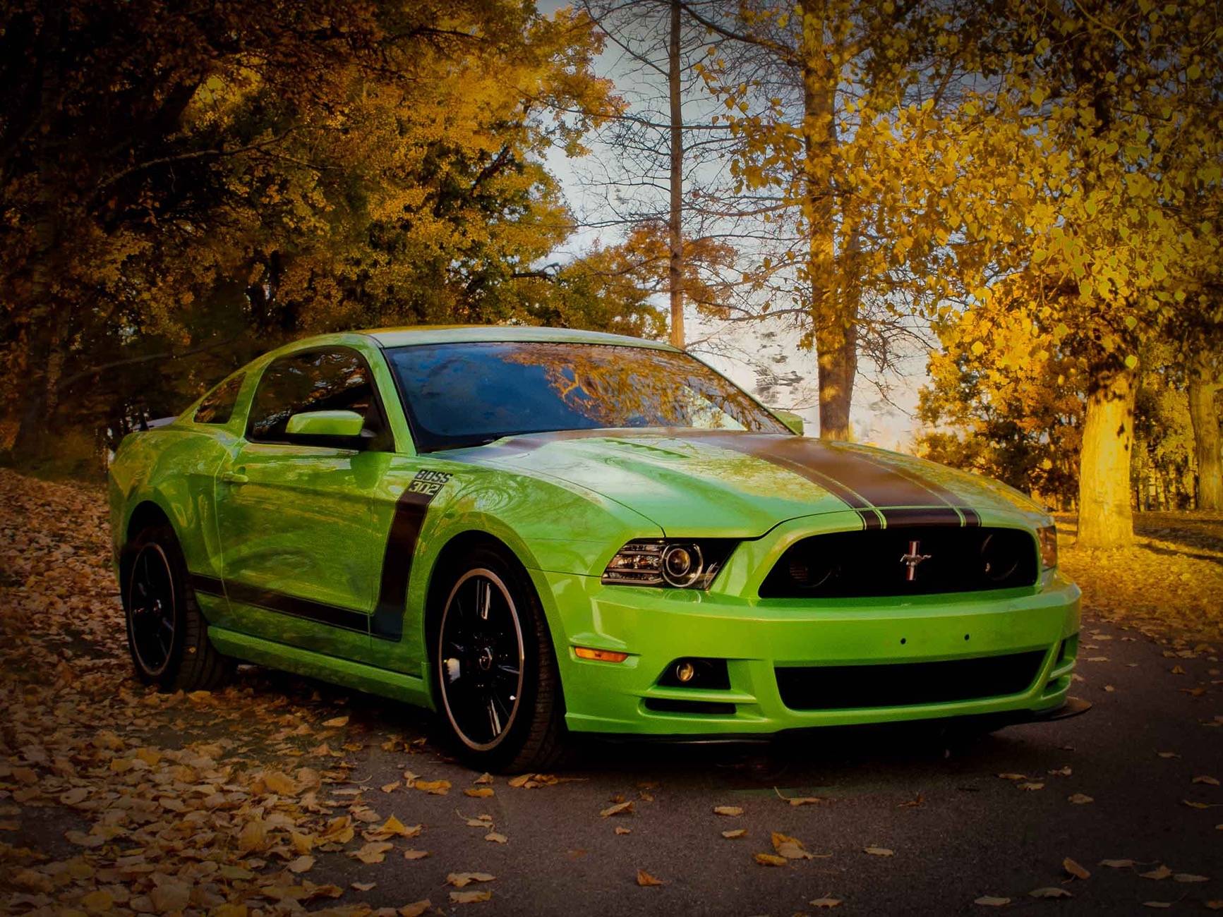 Fall Day Drive-2.jpeg