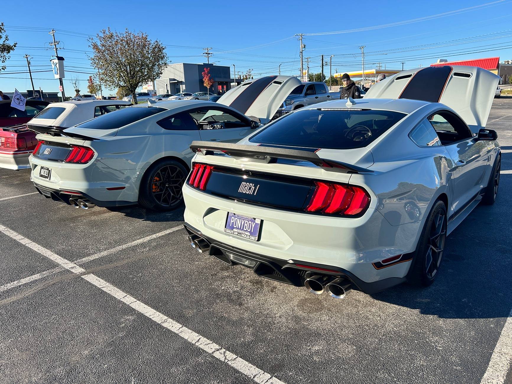 IMG_2074.jpeg