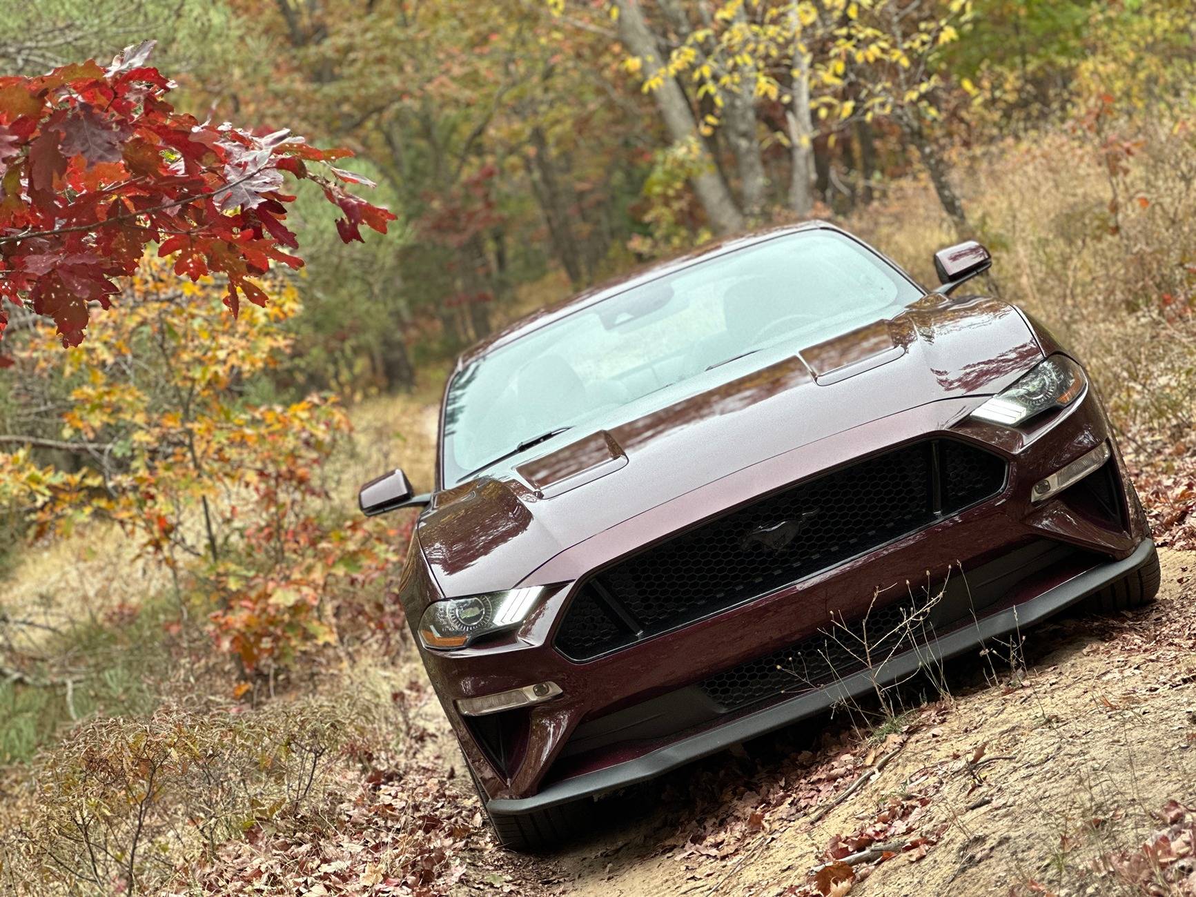 IMG_6542.JPG