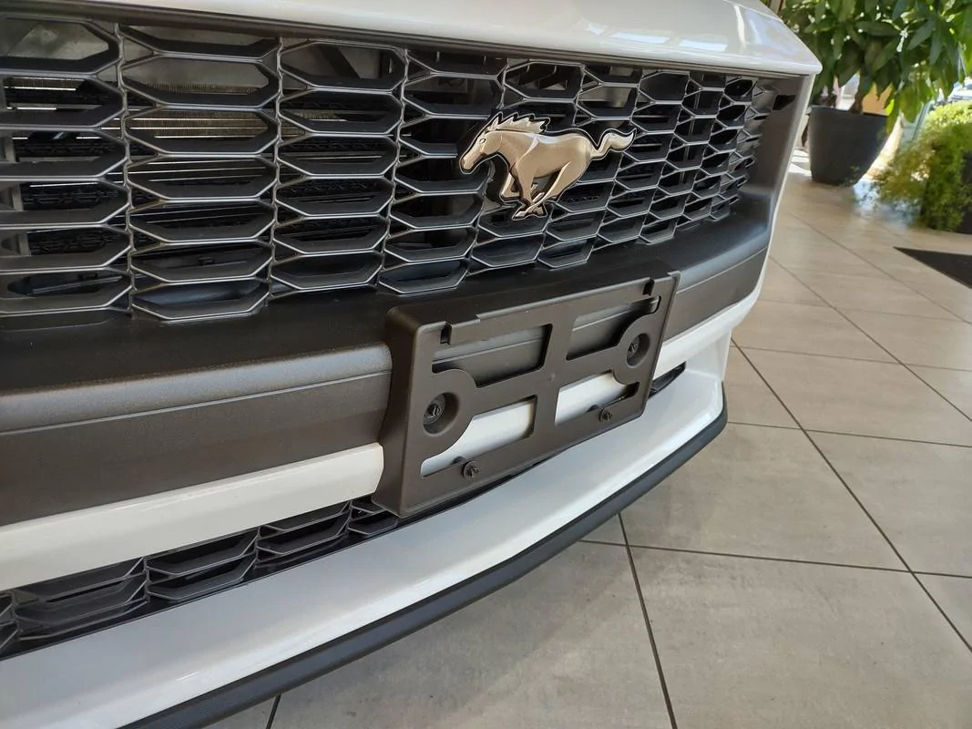 s650plinth.webp