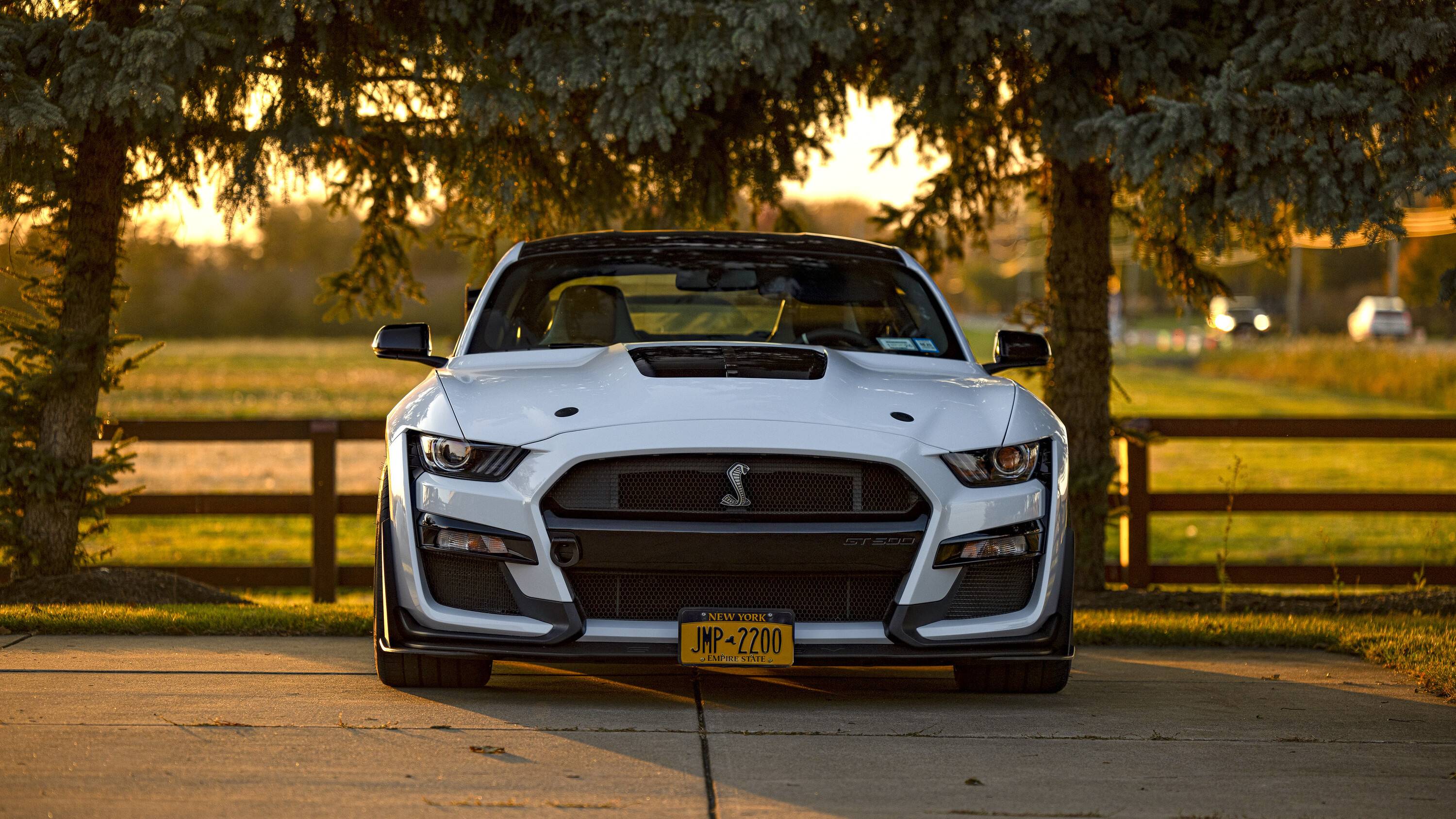 5P1A1451%20copy1-4K.jpg