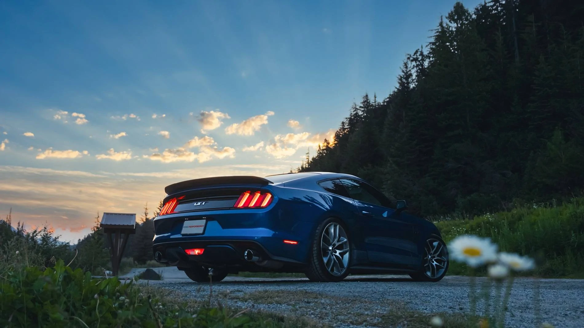 DSCF8562.webp
