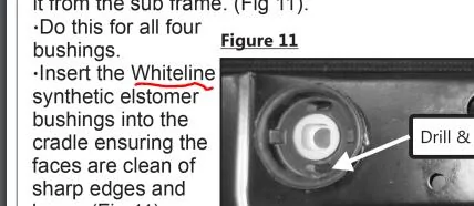 Wline.webp