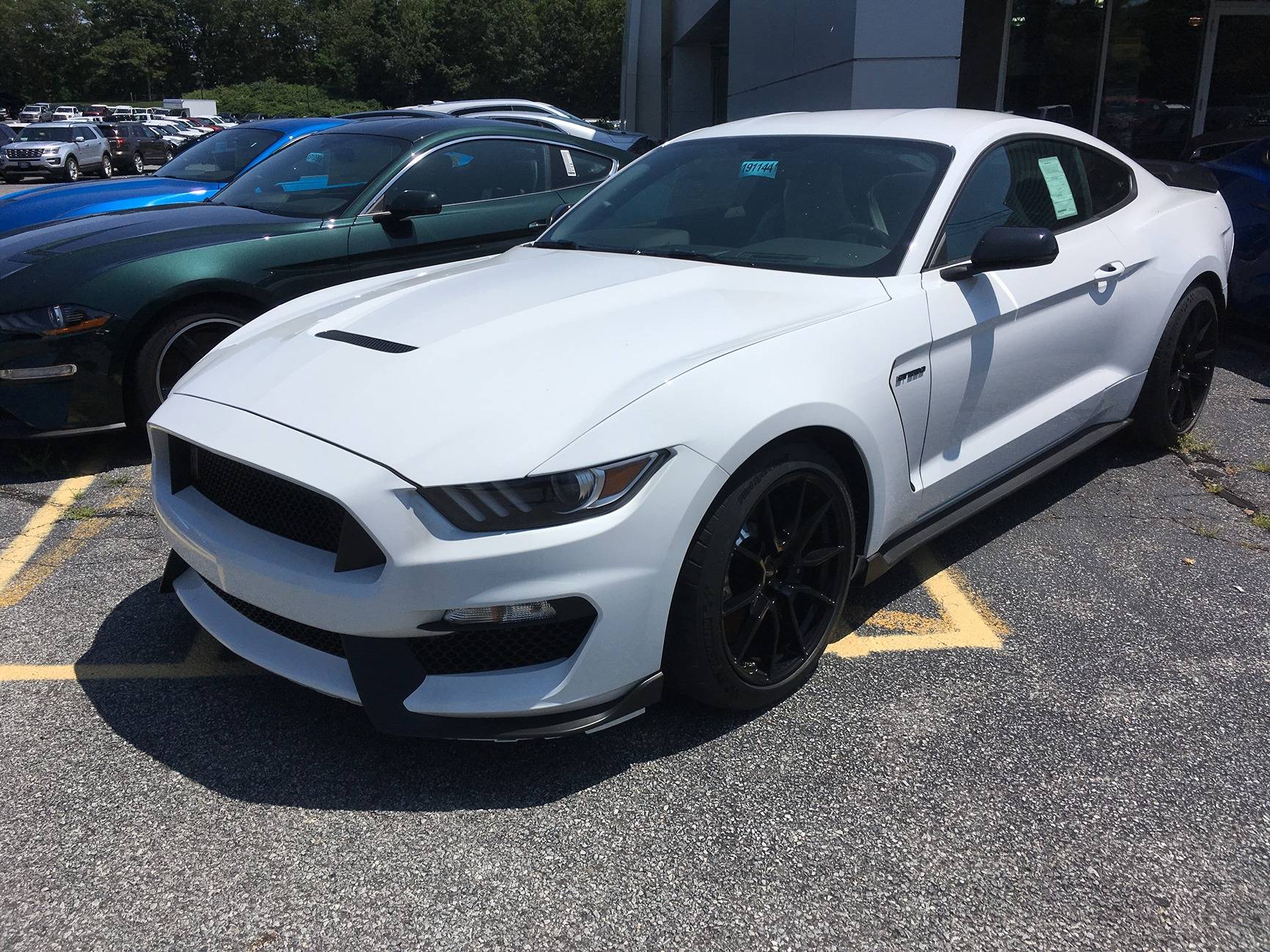 GT350 1.JPG