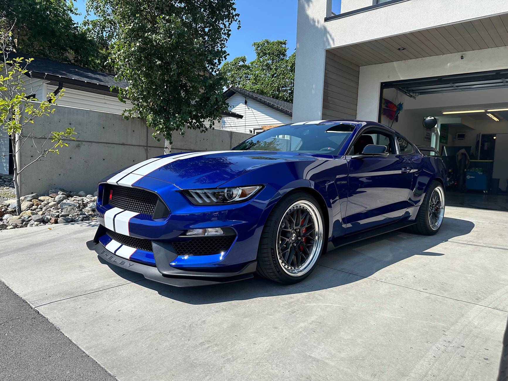 Flagship ONE GT350 Canada3.jpeg
