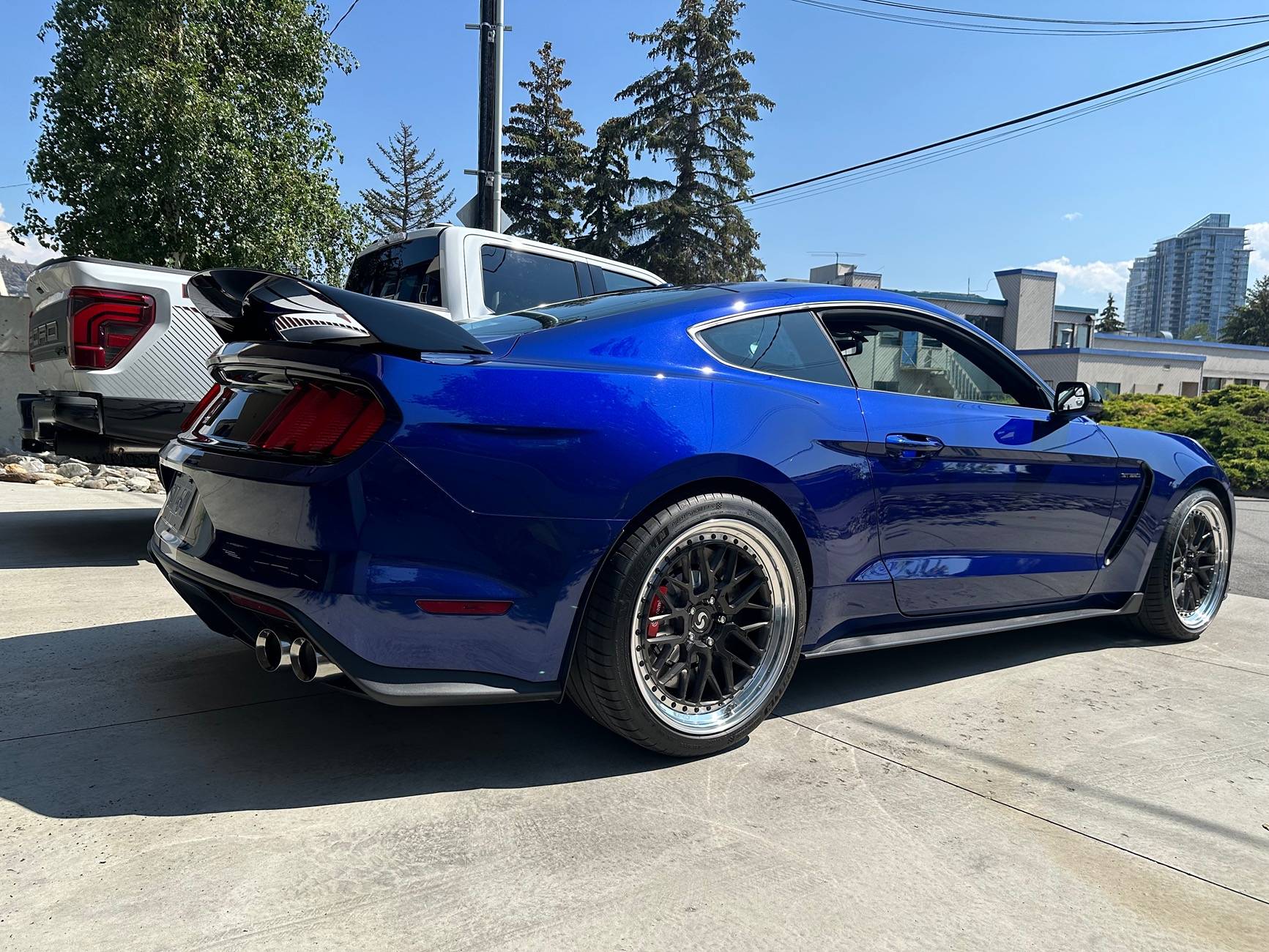 Flagship ONE GT350 Canada1.jpeg