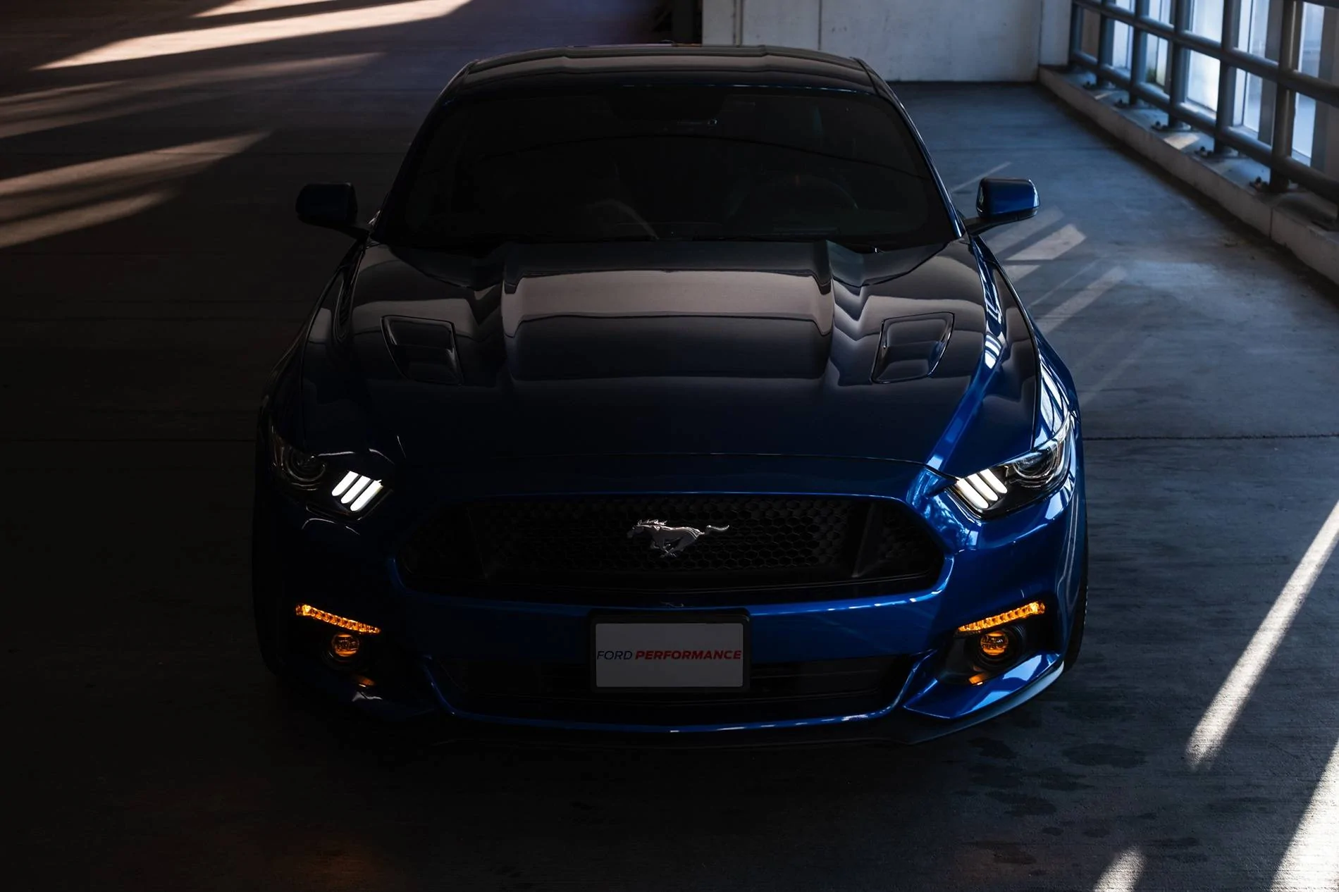 DSCF7713.webp