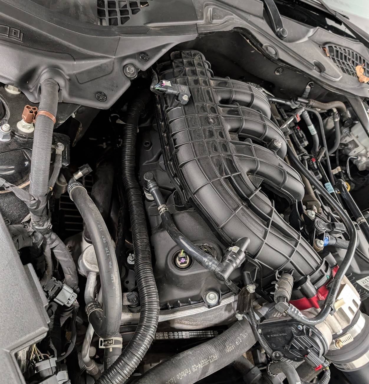 mustangEngine01.jpg