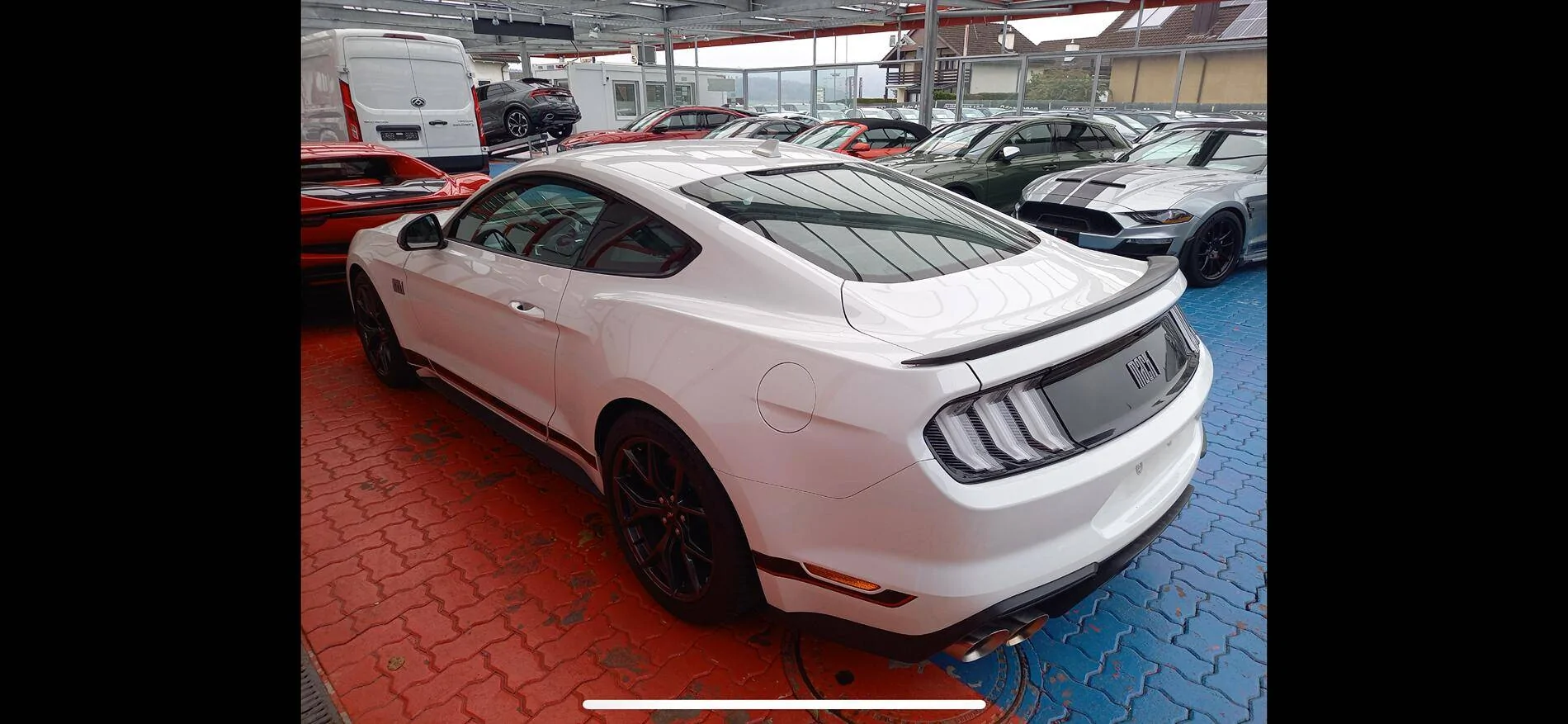 IMG_1276.webp