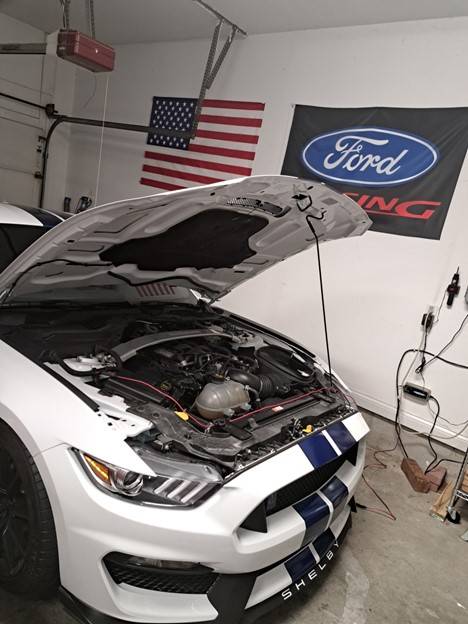 GT3507.jpg