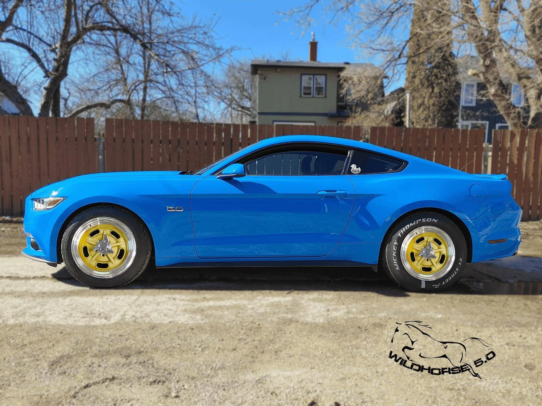 wildhorse5.0 (2).webp