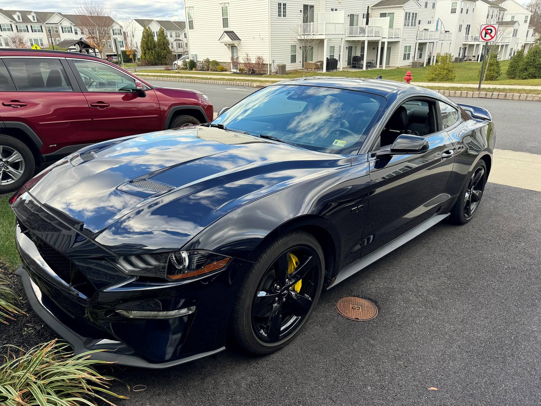 Mustang.jpg