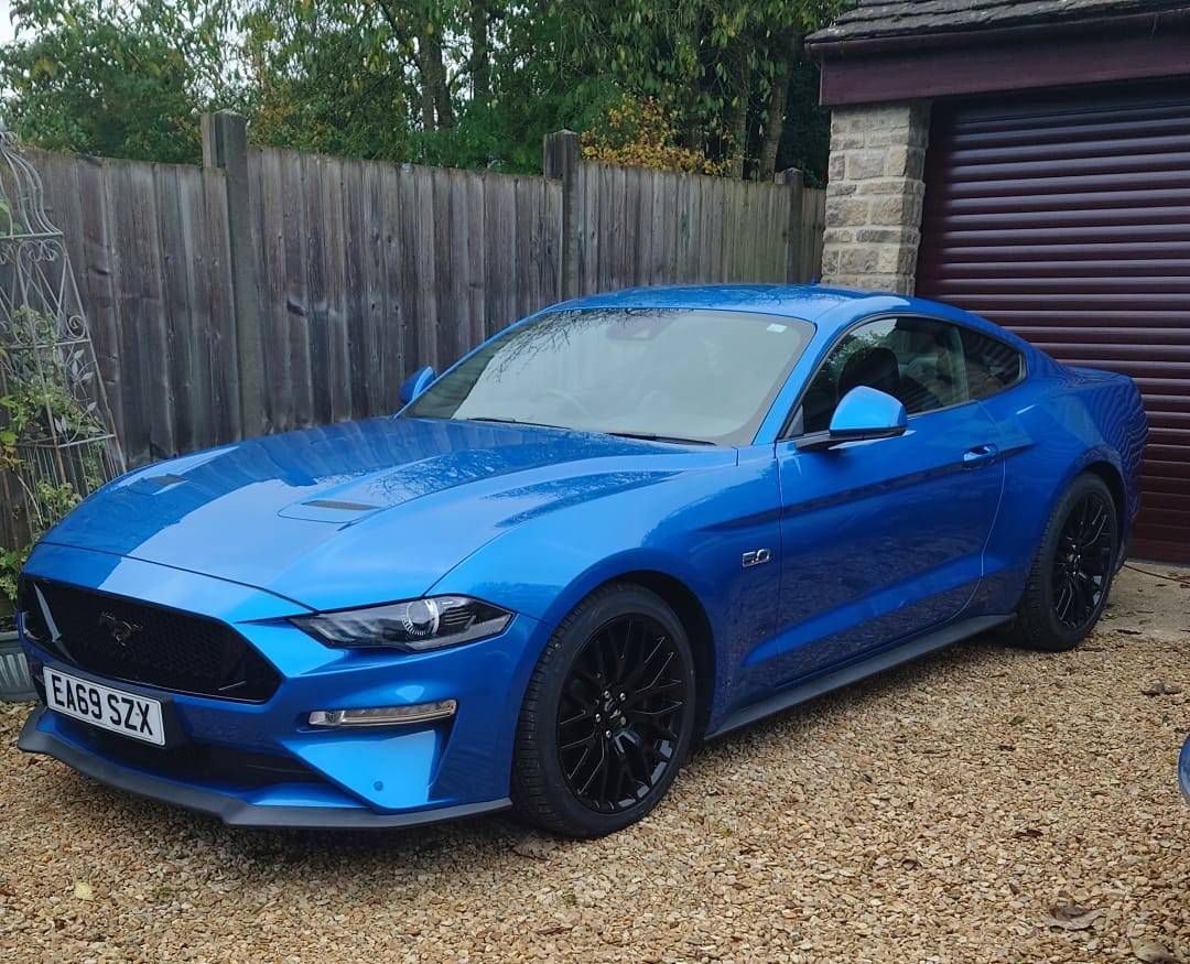 mustang on drive.jpg