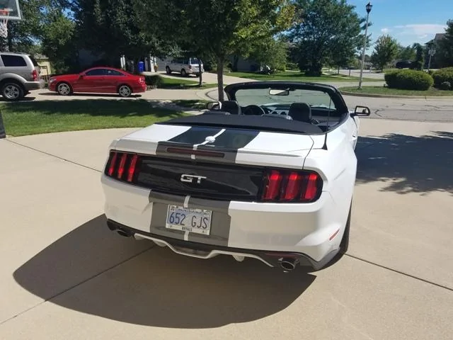 Post Stang 2.webp
