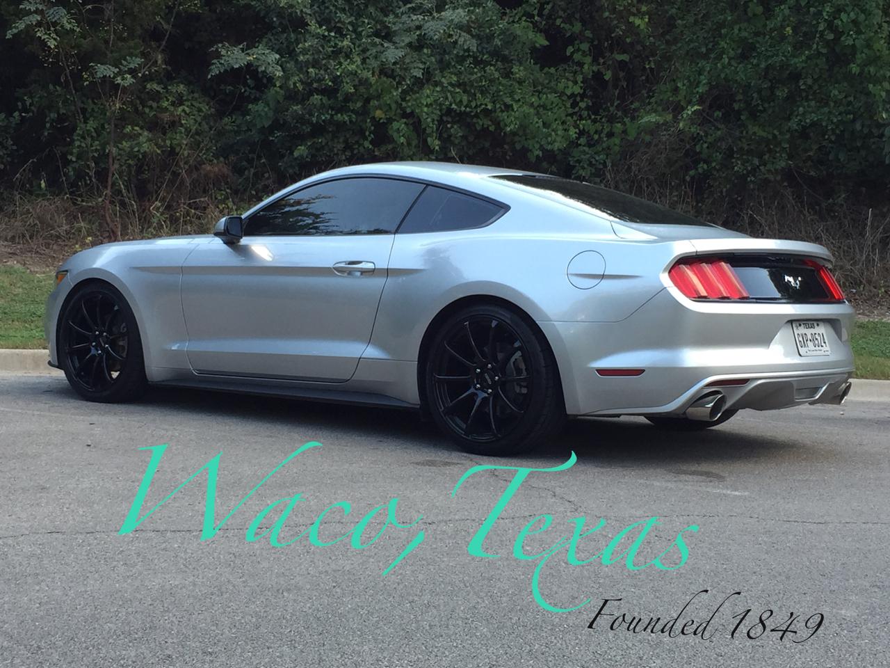 Mustang1.jpg