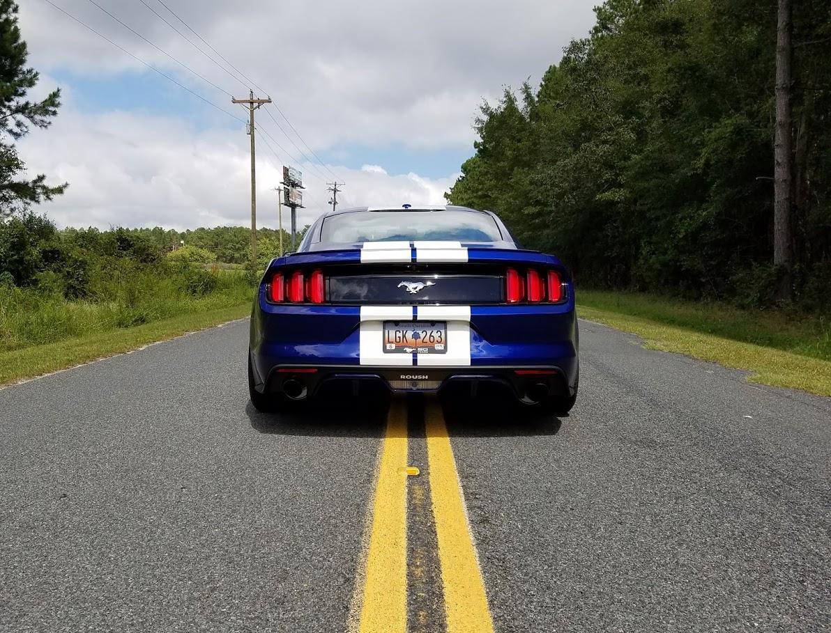 2015-rear.jpg