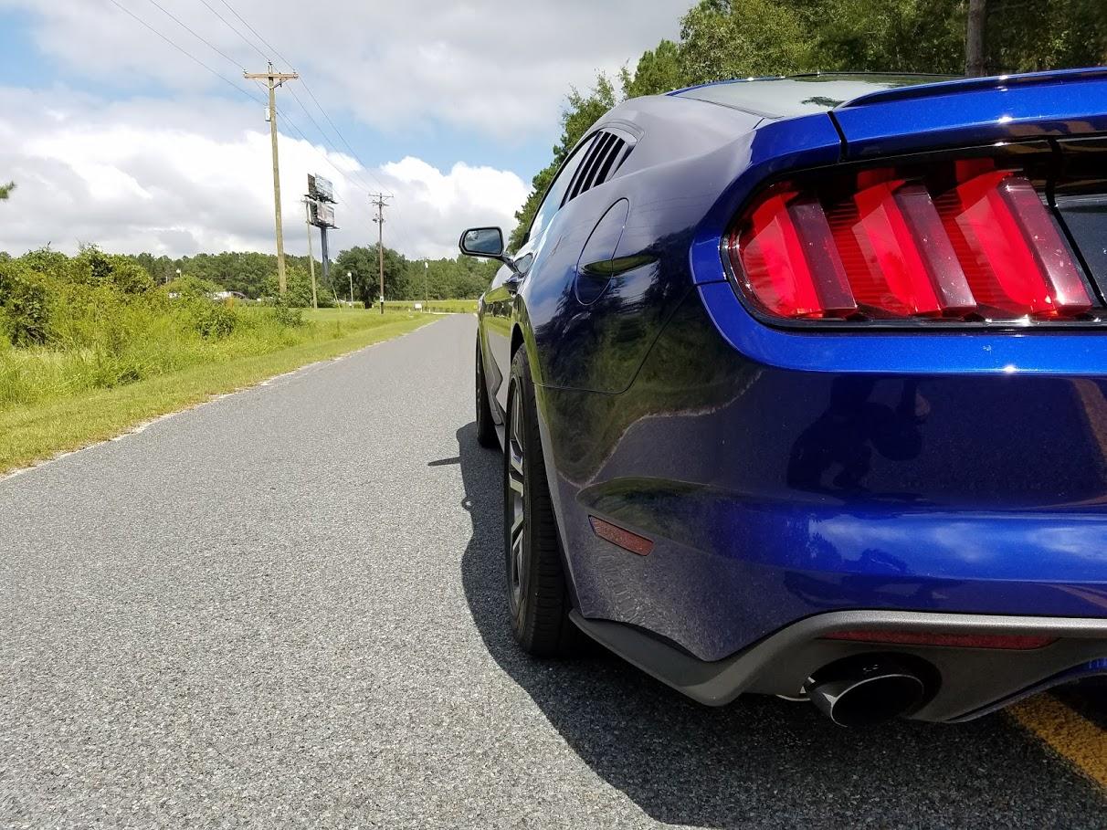 2015-side-lines.jpg