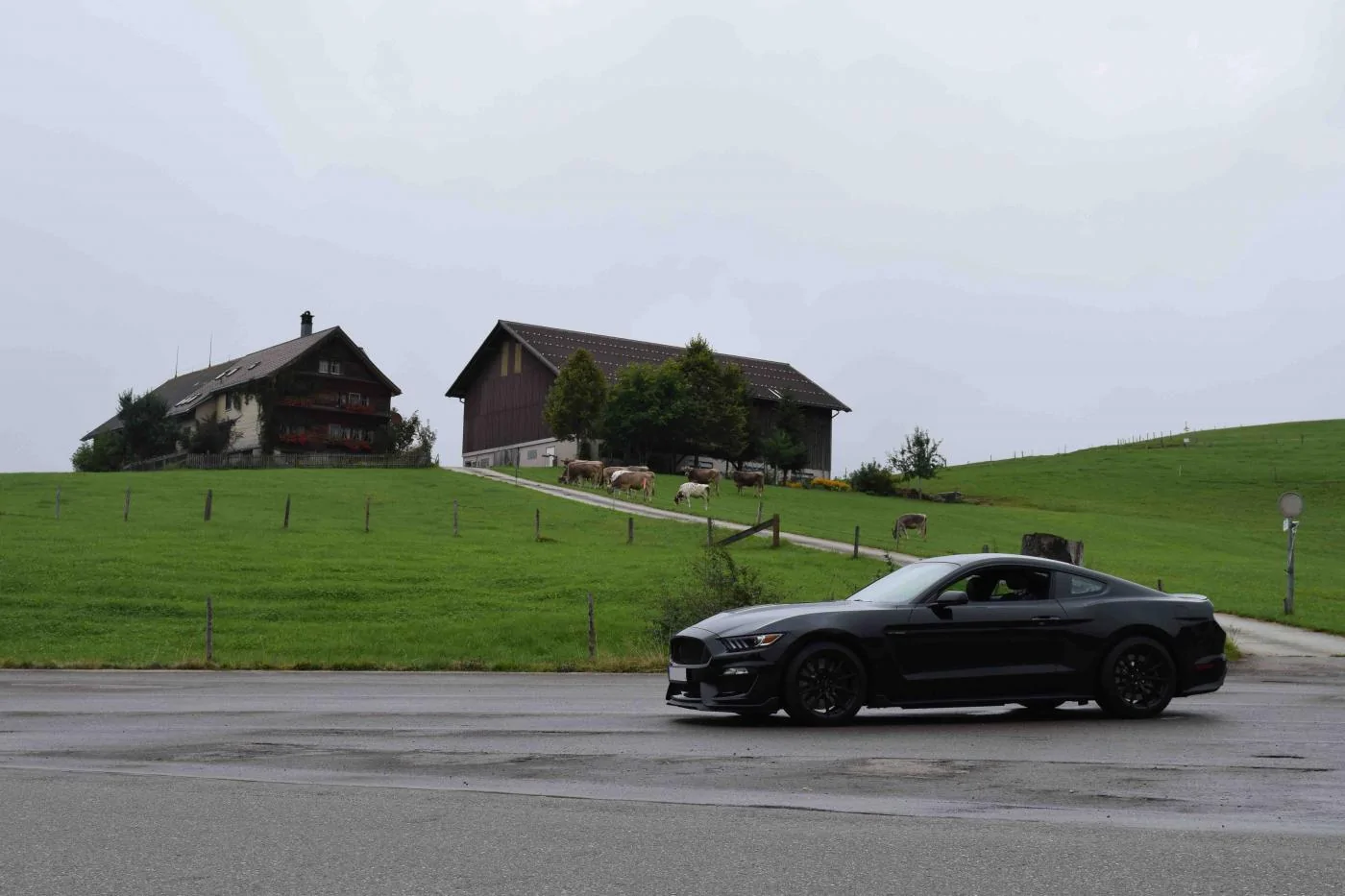 Switzerland.webp