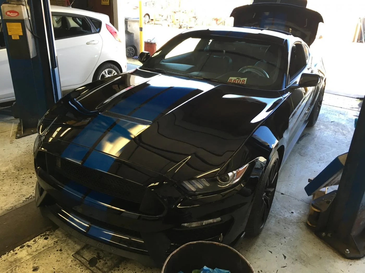 image1.webp