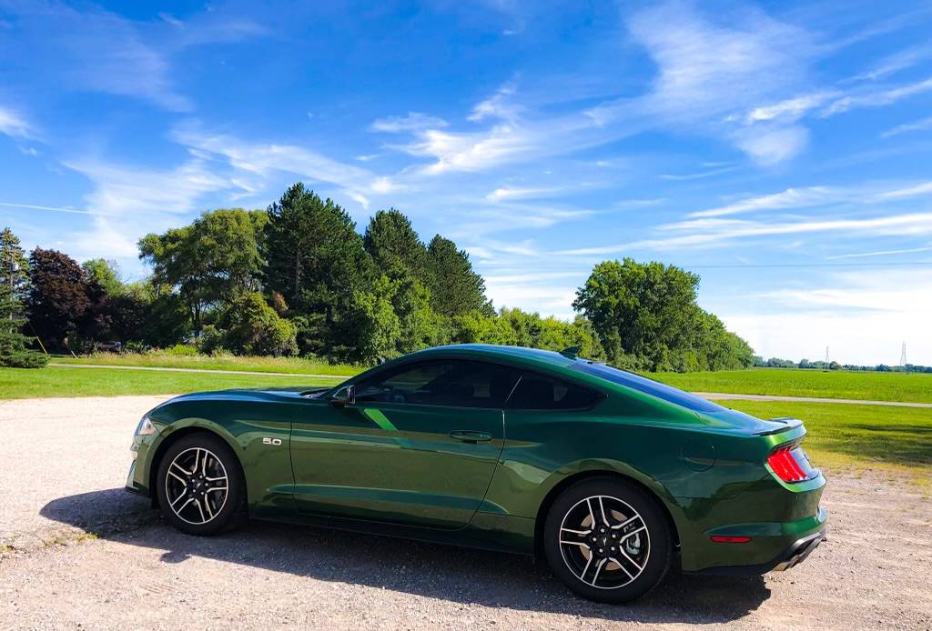 mustang.jpg