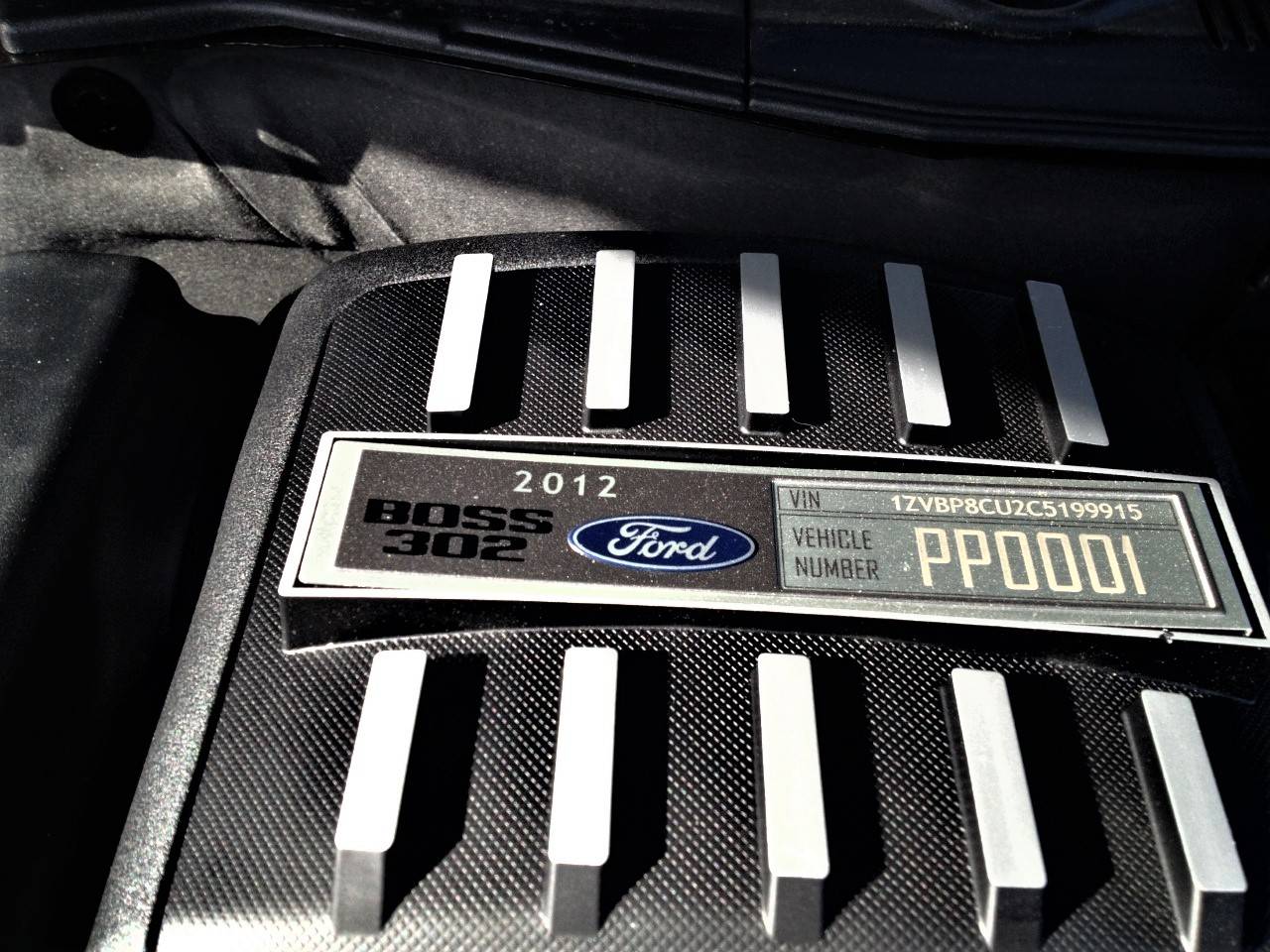 PP0001-5 (2).jpg