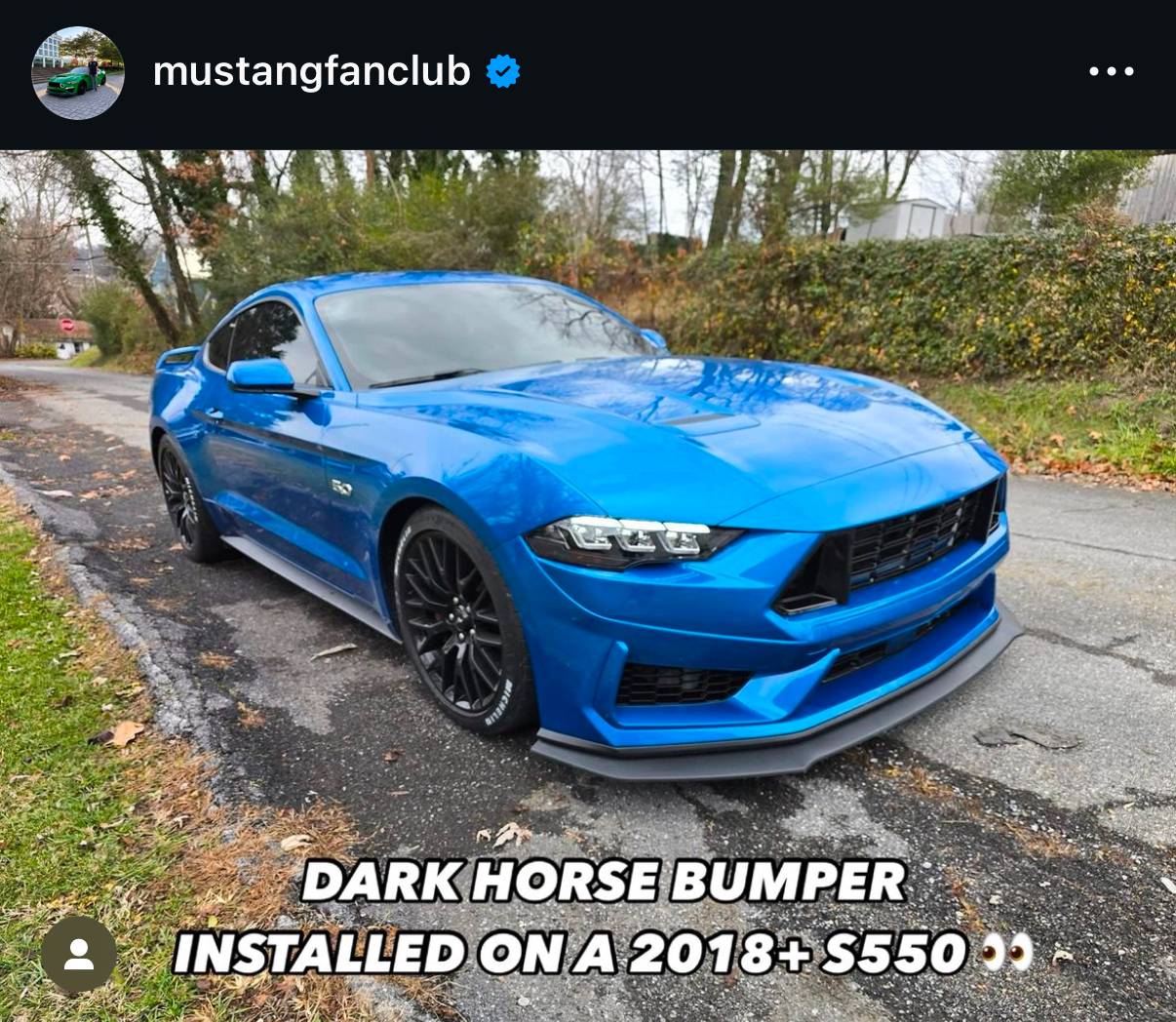 IMG_0038.jpeg
