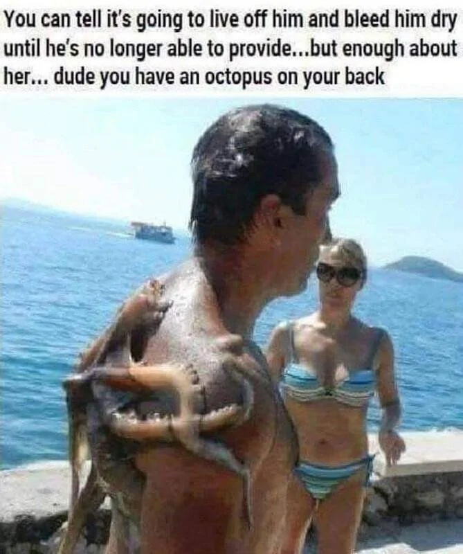 1735185055741-4s.webp