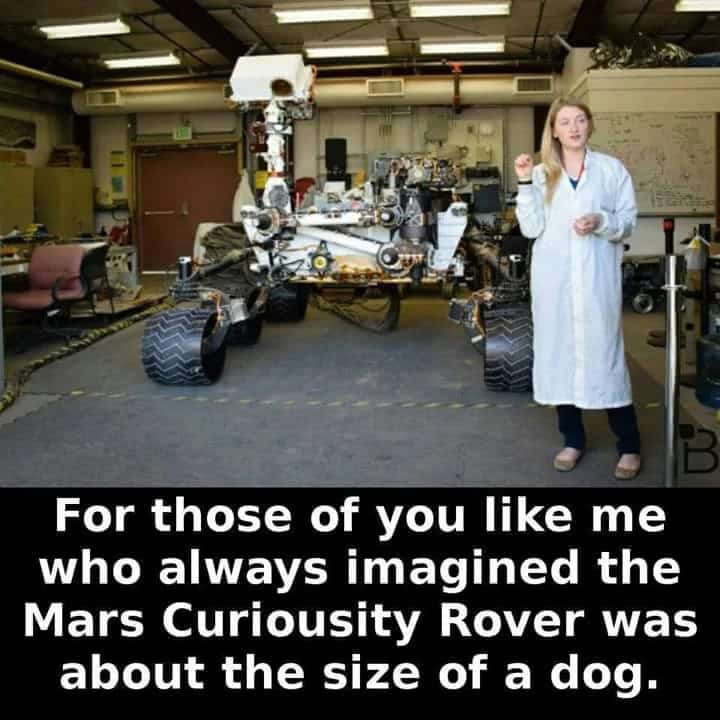 amazing-posts-december-26-20242.jpg