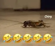 1735564748626-gu.webp