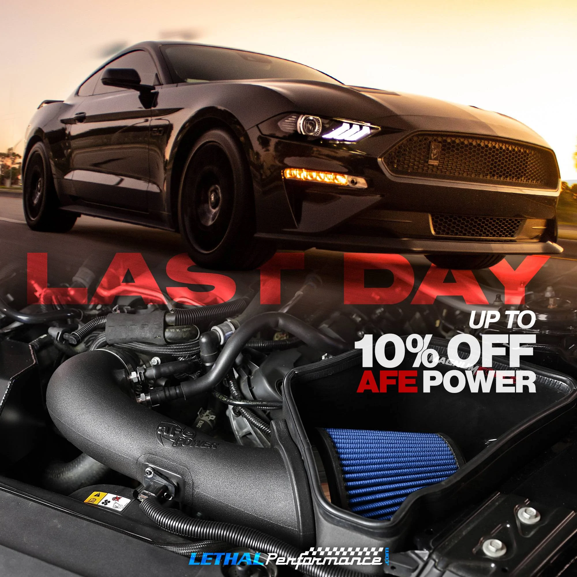 mustang. afe last.jpg