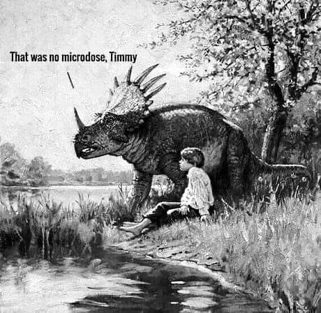 microdose.jpg