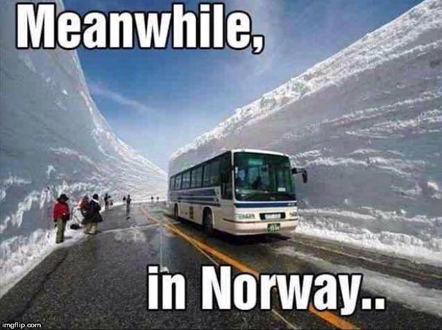 Norway froze, but still working.jpg
