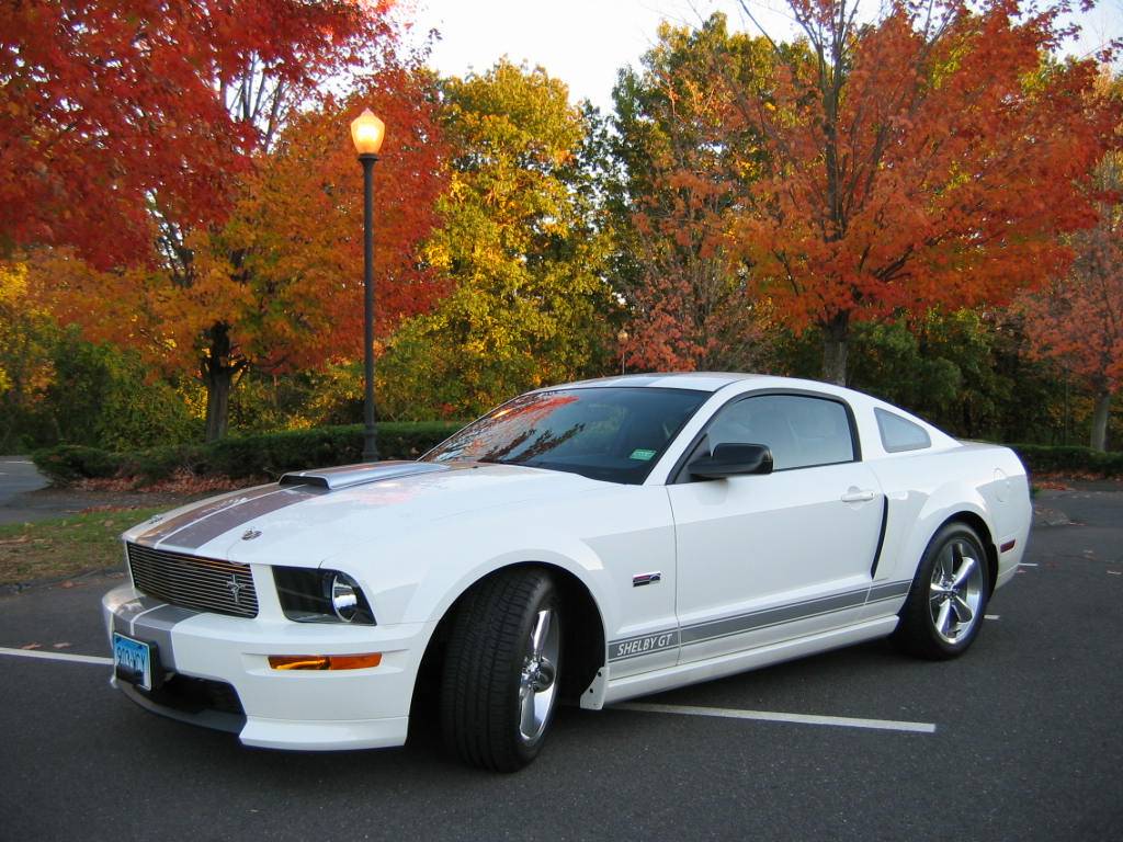 Shelbygt_006.jpg