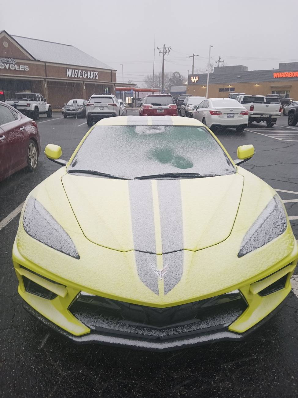 snowvette.jpg