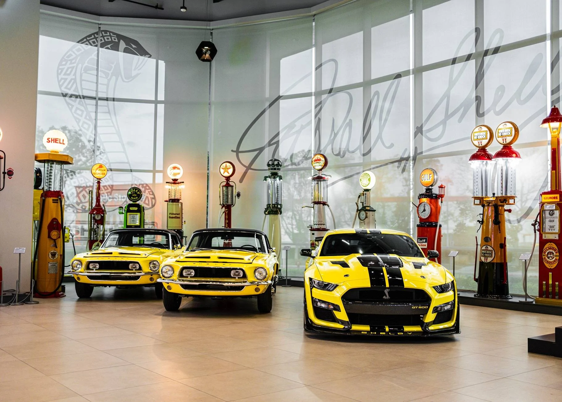 SmithsShelby-3.webp