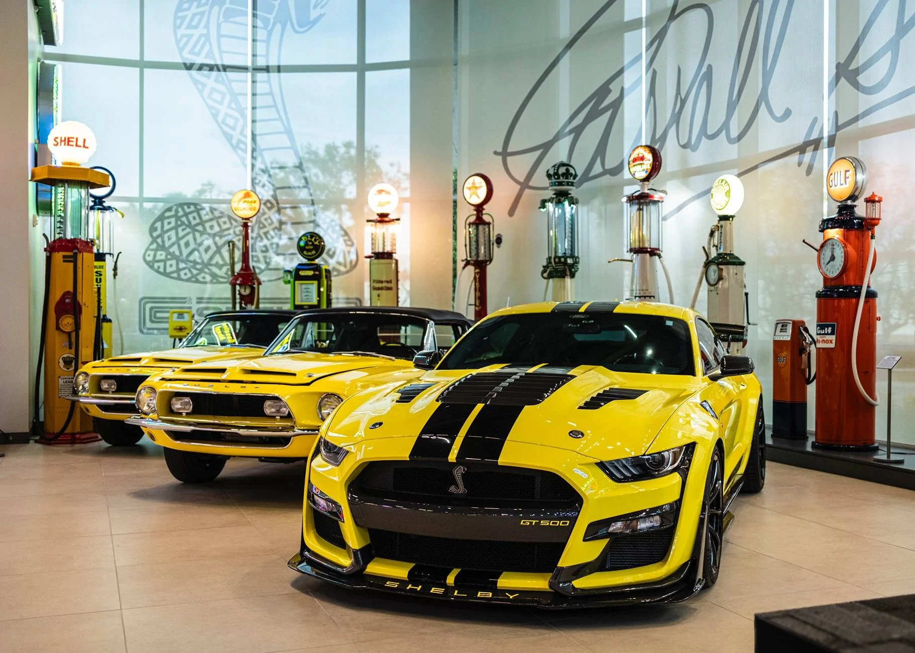 SmithsShelby-21.webp