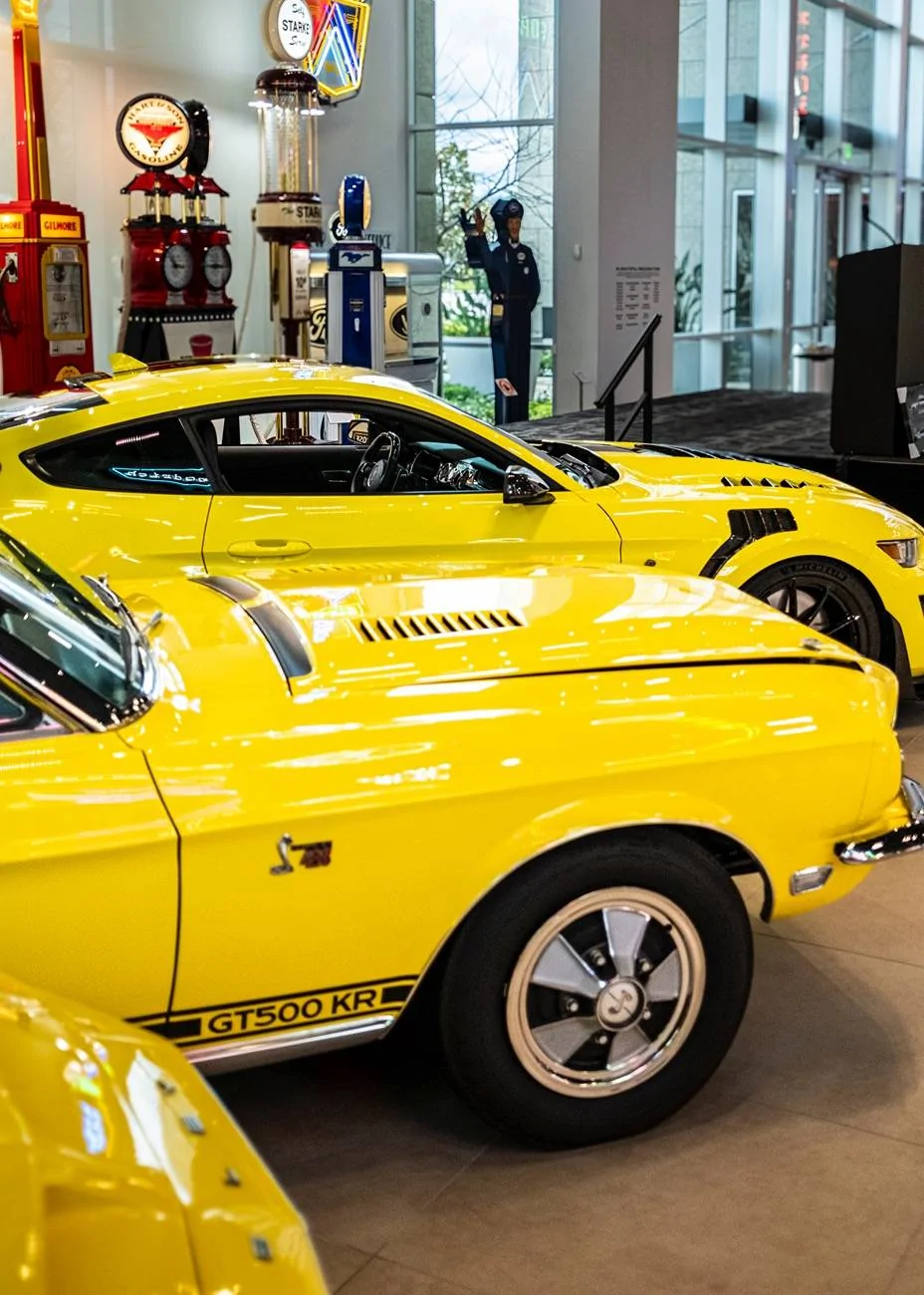 SmithsShelby-41.webp
