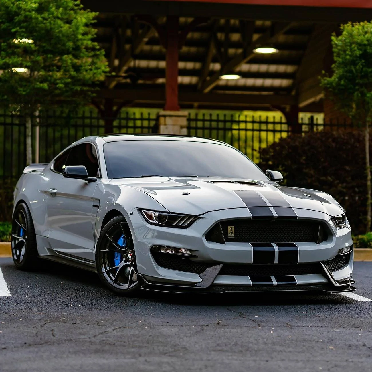 342210398_949059369624828_4875303548410051222_n.webp