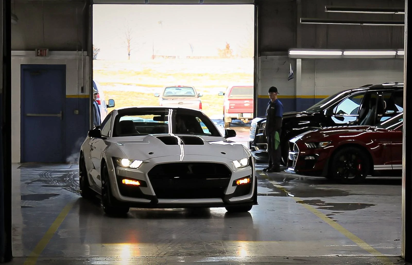 IMG_6340-X3.jpg