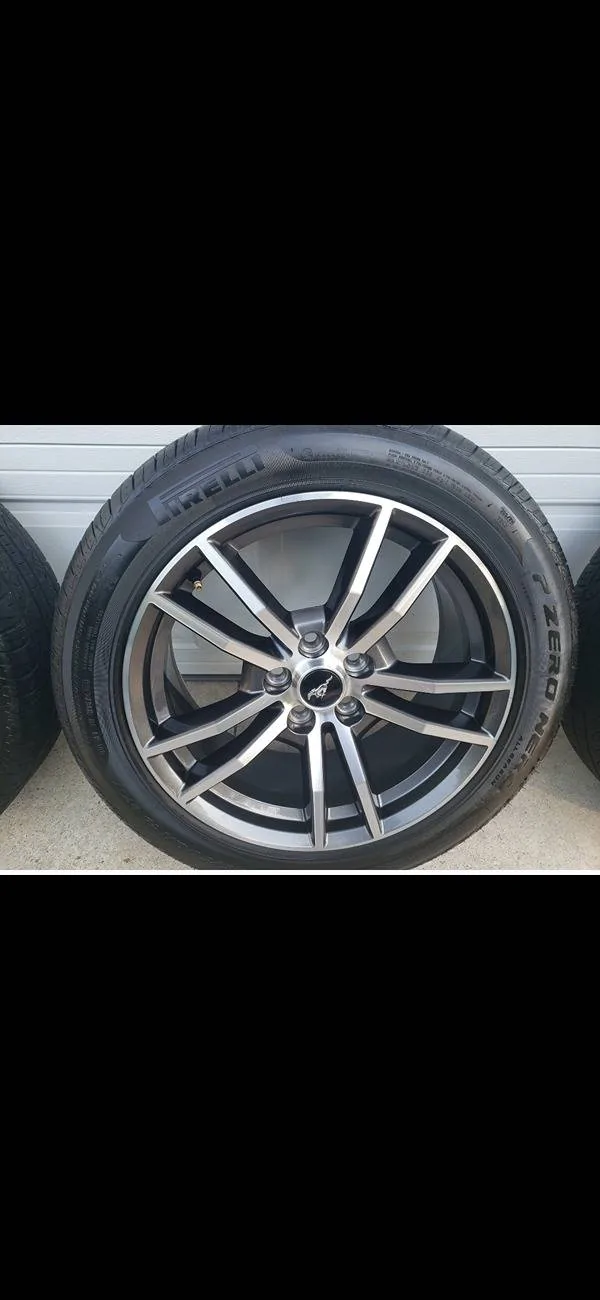 Screenshot_20250207_193806_Gallery.webp