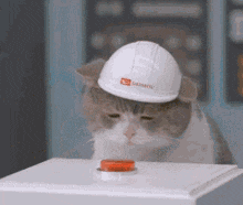 tmp(1).gif