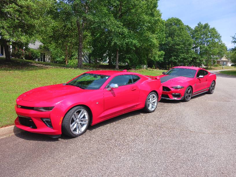 2 reds.jpg