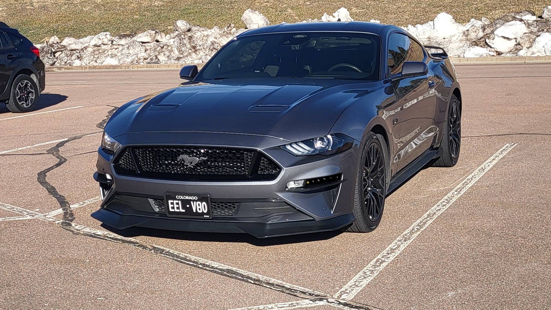 Mustang_2.jpg