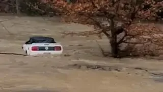 1739887113816-vb.jpg